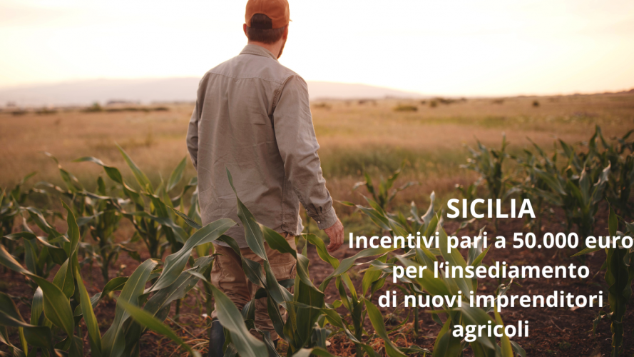 Immagine Bando Insediamento Giovani Agricoltori Sicilia