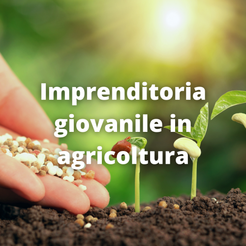 Imprenditoria Agricoltura