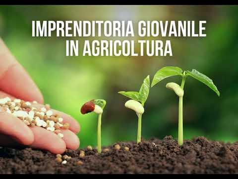 Imprenditoria giovanile in agricoltura