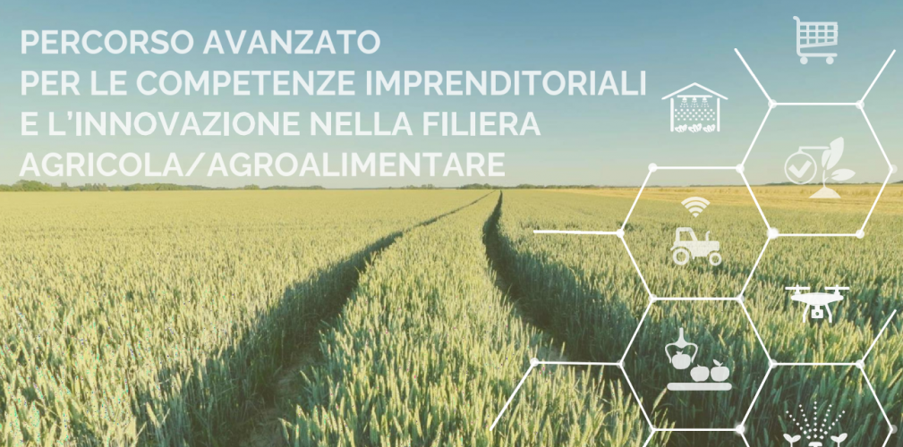 Sviluppo delle competenze imprenditoriali e innovazione nella filiera agricola/agroalimentare: parte ad ottobre il percorso avanzato negli Istituti Agrari di Chieti e Pescara