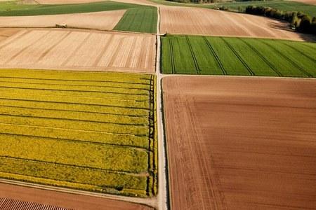 Rete SUAP Emilia Romagna - Agricoltura - pesca professionale e acquacoltura