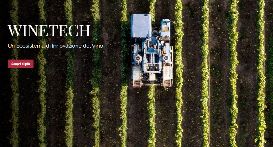 La tecnologia incontra l’agricoltura: la storia di successo di Trace Tecnologies