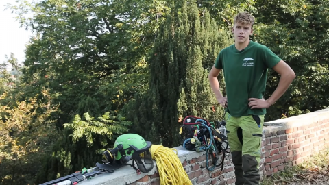 Scopri come aprire...un'attività di treeclimbing